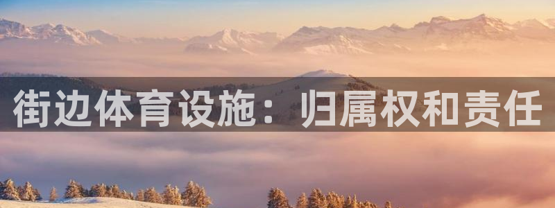 意昂3神州：街边体育设施：归属权和责任