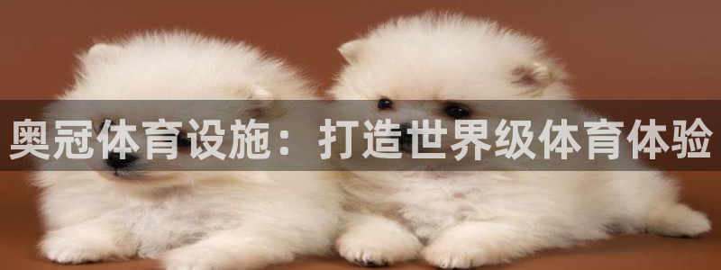 意昂平台体育：奥冠体育设施：打造世界级体育体验