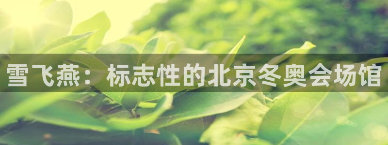 意昂3科技：雪飞燕：标志性的北京冬奥会场馆
