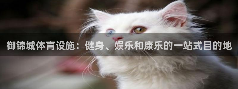 海南意昂体育3：御锦城体育设施：健身、娱乐和康乐的一