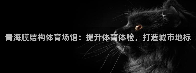 意昂体育3开户：青海膜结构体育场馆：提升体育体验，打