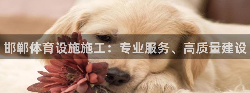 意昂3科技：邯郸体育设施施工：专业服务、高质量建设