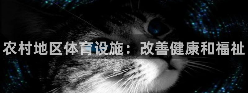 意昂体育3娱乐：农村地区体育设施：改善健康和福祉