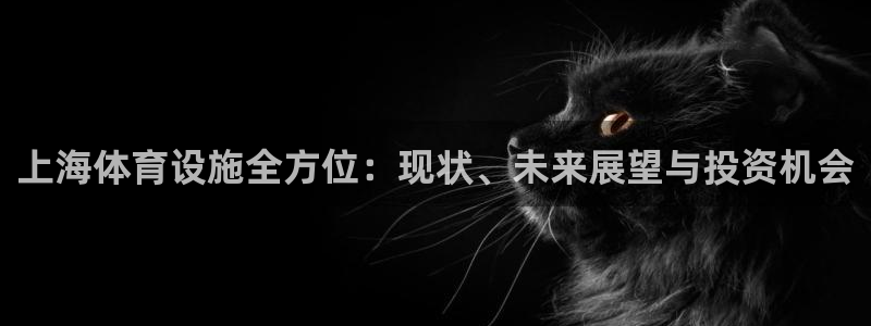 意昂体育3平台注册要钱吗：上海体育设施全方位：现状、