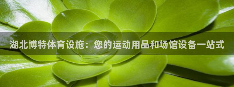 意昂3科技：湖北博特体育设施：您的运动用品和场馆设备