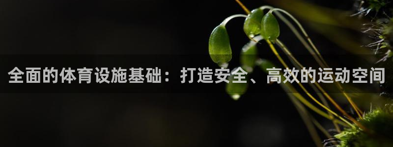 意昂体育3平台：全面的体育设施基础：打造安全、高效的