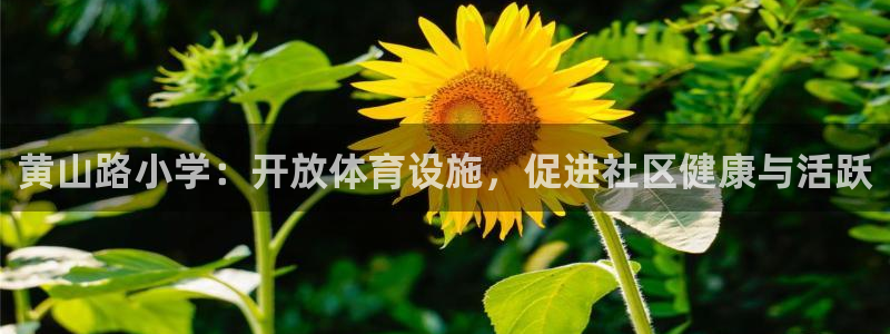 意昂体育3平台是正规平台吗安全吗：黄山路小学：开放体