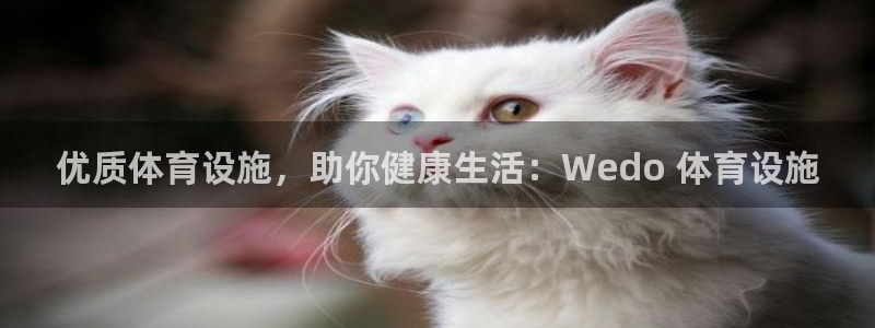 意昂体育3娱乐：优质体育设施，助你健康生活：Wedo