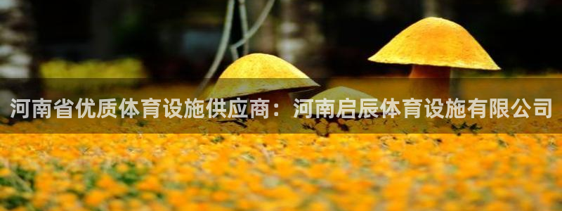 意昂3集团E.ON：河南省优质体育设施供应商：河南启