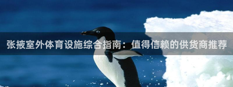 意昂3代理：张掖室外体育设施综合指南：值得信赖的供货