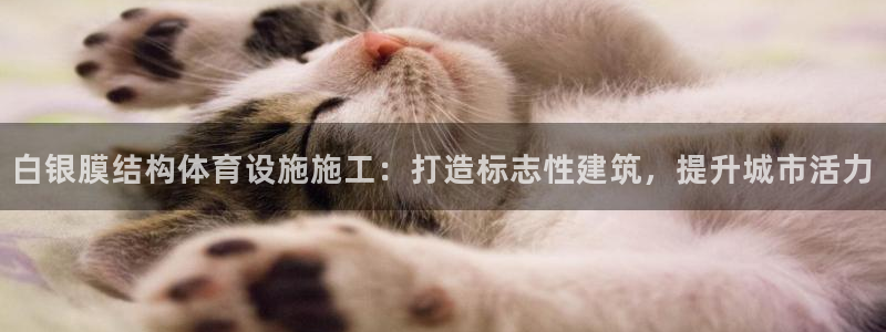 意昂体育3招商电话是多少啊：白银膜结构体育设施施工：