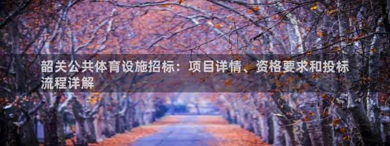 意昂体育3联系电话：韶关公共体育设施招标：项目详情、
