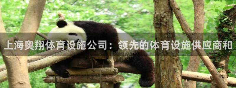 意昂体育3联系电话：上海奥翔体育设施公司：领先的体育设施供应