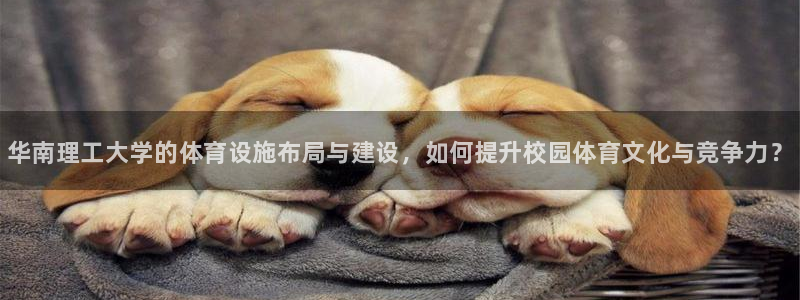 意昂3集团E.ON