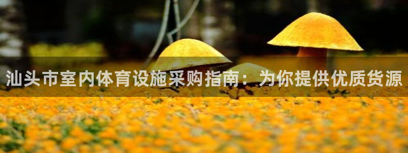 意昂体育3招商电话：汕头市室内体育设施采购指南：为你