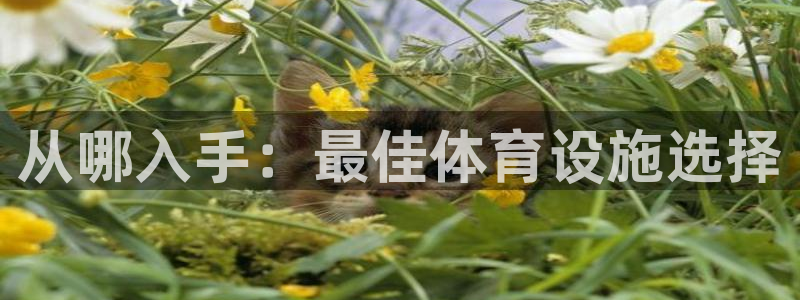 意昂体育3平台是正规平台吗：从哪入手：最佳体育设施选