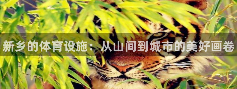 意昂体育3平台假的吗是真的吗：新乡的体育设施：从山间