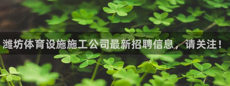 意昂体育3：潍坊体育设施施工公司最新招聘信息，请关注