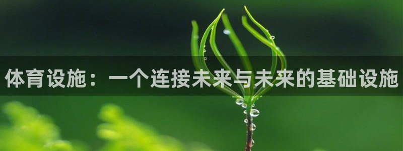 意昂体育3注册：体育设施：一个连接未来与未来的基础设