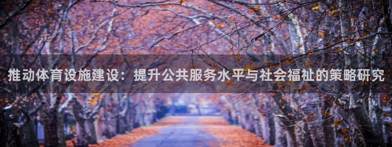 意昂体育3是干嘛的公司：推动体育设施建设：提升公共服