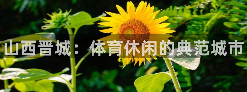 意昂体育3平台注册要钱吗是真的吗：山西晋城：体育休闲的典范城