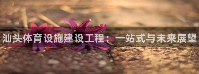 意昂3五金厂：汕头体育设施建设工程：一站式与未来展望