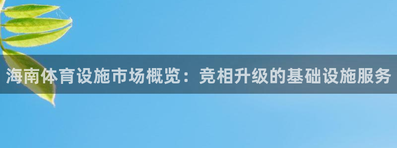 意昂体育3注册：海南体育设施市场概览：竞相升级的基础