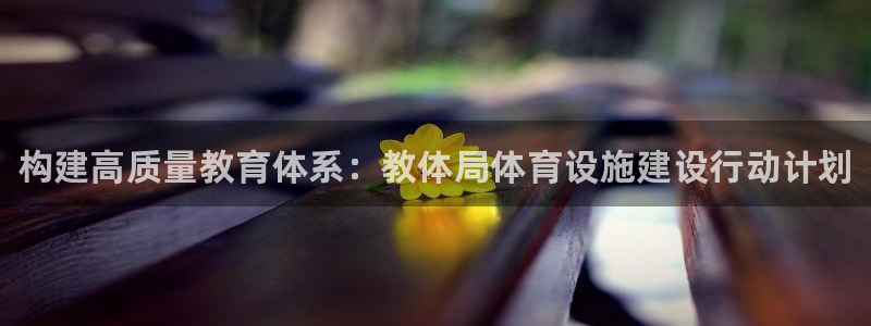 意昂体育3是干嘛的公司：构建高质量教育体系：教体局体育设施建