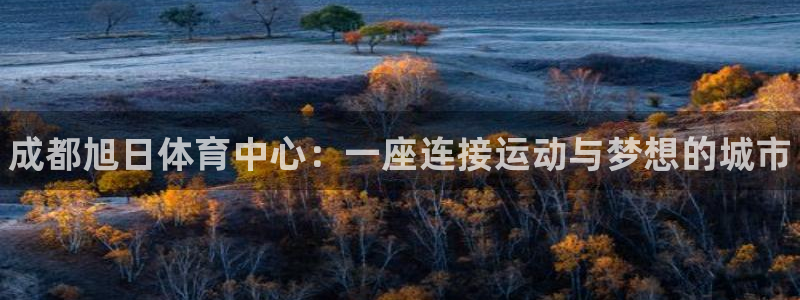 意昂3娱乐网站：成都旭日体育中心：一座连接运动与梦想的城市 