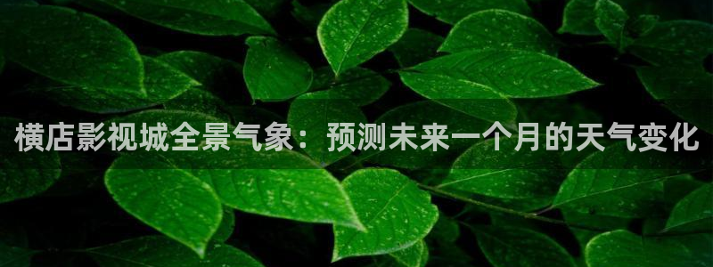 天狼影院保姆：横店影视城全景气象：预测未来一个月的天气变化