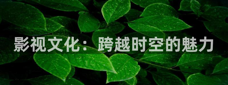 天狼影院年轻的母亲