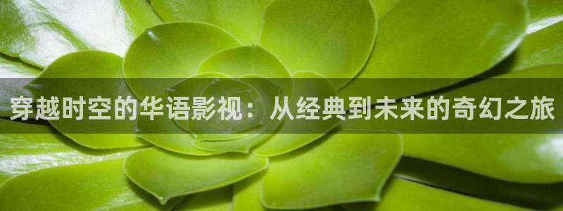 天狼影院电视剧：穿越时空的华语影视：从经典到未来的奇幻之旅