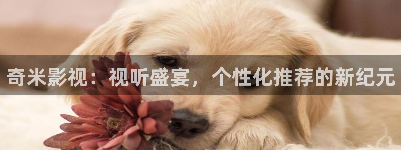 天狼影院天天