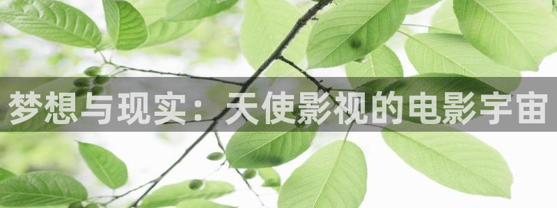 天狼影院妈妈的朋友：梦想与现实：天使影视的电影宇宙