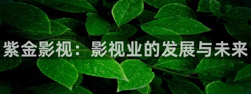 天狼影视在线免费观看：紫金影视：影视业的发展与未来
