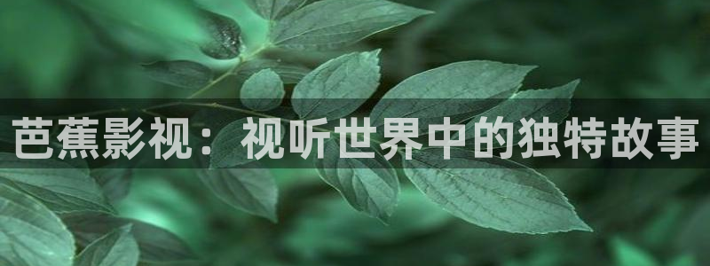 天狼影城：芭蕉影视：视听世界中的独特故事