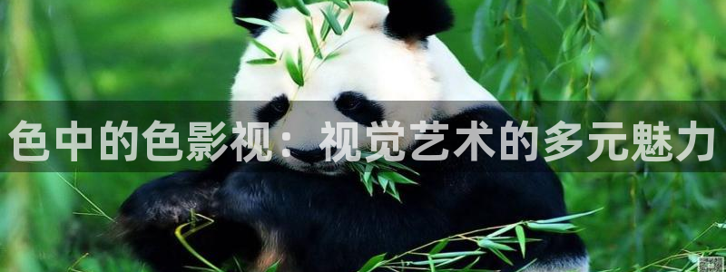 天狼影视伦理片免费完整在线观看：色中的色影视：视觉艺术的多元魅力